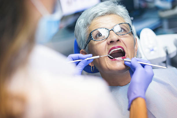 Trusted Black Diamond, WA Holistic Dental Care Services Experts